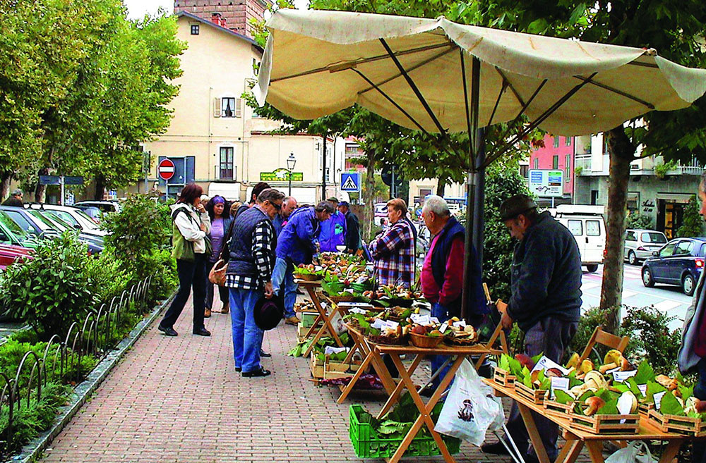 Mercato dei funghi a Giaveno, in piazza Molines, 2013